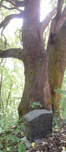 Click to see PIC 5-N 96D of Nevada County (Out of town) (PIC 5-N)