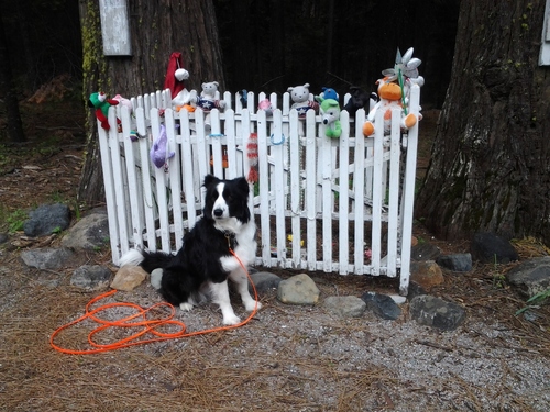 Click to see PIC 5-N 97 of Nevada County (Out of town) (PIC 5-N)