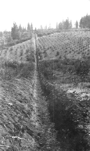 Click to see PIC 5-NID 39 of Nevada Irrigation District (PIC 5-NID)