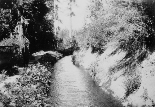 Click to see PIC 5-NID 63 of Nevada Irrigation District (PIC 5-NID)