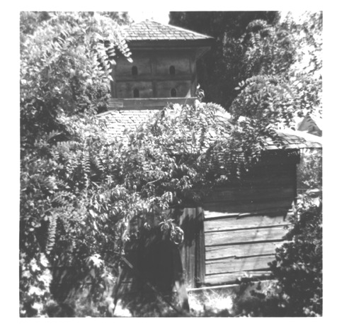 Click to see PIC 5-THE-M 6 of Lola Montez (PIC 5-THE-M)