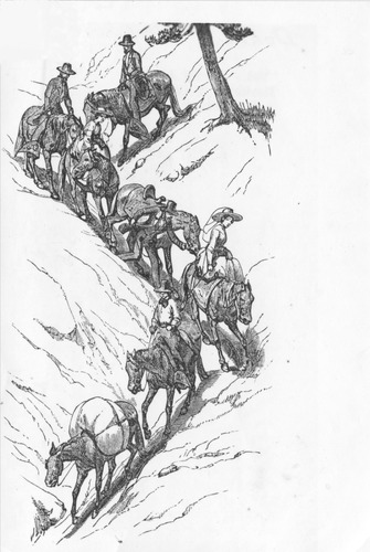 Click to view Horses And Horse Drawn Vehicles (PIC 5-TRA-H) Horses and horse drawn vehicles (PIC 5-TRA-H)