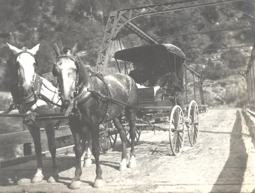 Click to see PIC 5-TRA-H 2 of Horses and horse drawn vehicles (PIC 5-TRA-H)