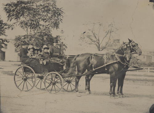Click to see PIC 5-TRA-H 4 of Horses and horse drawn vehicles (PIC 5-TRA-H)