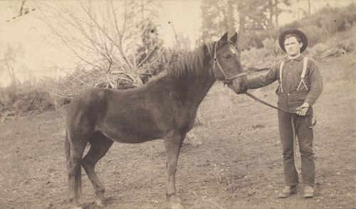 Click to see PIC 5-TRA-H 5 of Horses and horse drawn vehicles (PIC 5-TRA-H)