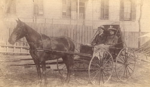 Click to see PIC 5-TRA-H 6 of Horses and horse drawn vehicles (PIC 5-TRA-H)