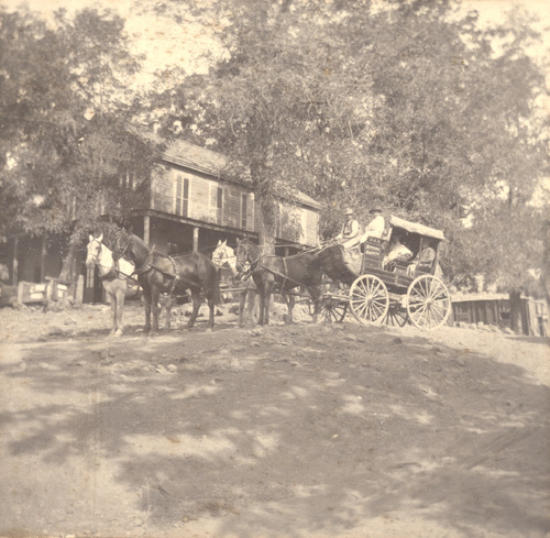 Click to see PIC 5-TRA-H 9 of Horses and horse drawn vehicles (PIC 5-TRA-H)