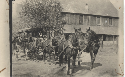 Click to see PIC 5 TRA-H 10 of Horses and horse drawn vehicles (PIC 5-TRA-H)