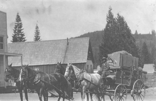 Click to see PIC 5 TRA-H 11 of Horses and horse drawn vehicles (PIC 5-TRA-H)