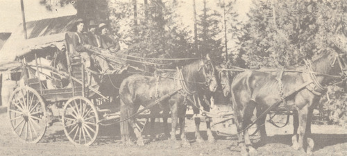 Click to see PIC 5 TRA-H 12 of Horses and horse drawn vehicles (PIC 5-TRA-H)