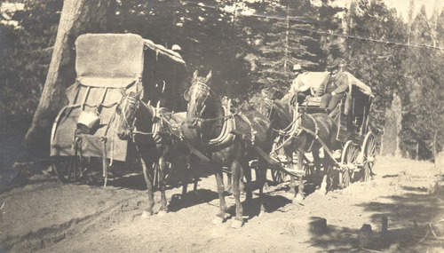 Click to see PIC 5 TRA-H 13 of Horses and horse drawn vehicles (PIC 5-TRA-H)