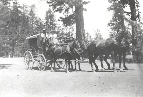 Click to see PIC 5 TRA-H 14 of Horses and horse drawn vehicles (PIC 5-TRA-H)
