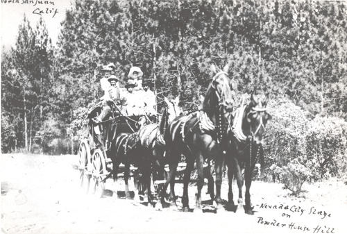 Click to see PIC 5 TRA-H 15 of Horses and horse drawn vehicles (PIC 5-TRA-H)