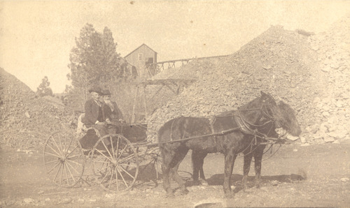 Click to see PIC 5 TRA-H 19 of Horses and horse drawn vehicles (PIC 5-TRA-H)