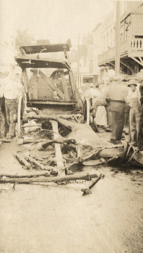 Click to see PIC 5-TRA-H 22 of Horses and horse drawn vehicles (PIC 5-TRA-H)