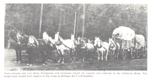 Click to see PIC 5-TRA-H 23 of Horses and horse drawn vehicles (PIC 5-TRA-H)