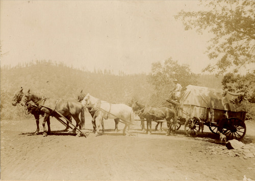 Click to see PIC 5-TRA-H 24 of Horses and horse drawn vehicles (PIC 5-TRA-H)