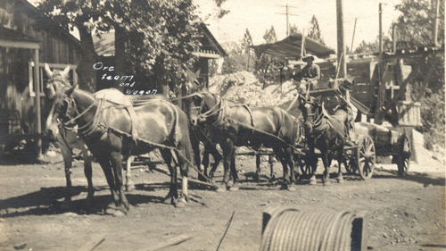 Click to see PIC 5-TRA-H 28 of Horses and horse drawn vehicles (PIC 5-TRA-H)