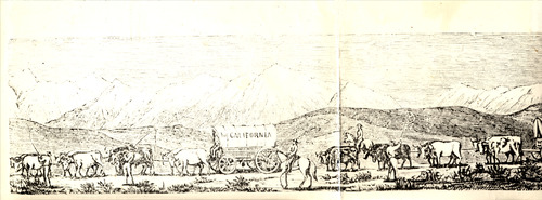 Click to see PIC 5-TRA-H 30 of Horses and horse drawn vehicles (PIC 5-TRA-H)