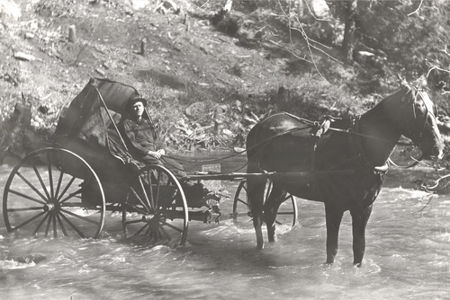 Click to see PIC 5-TRA-H 34 of Horses and horse drawn vehicles (PIC 5-TRA-H)