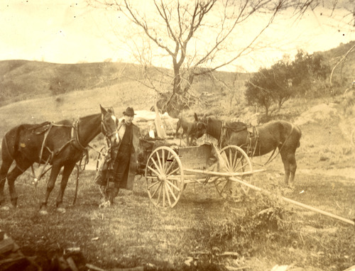 Click to see PIC 5-TRA-H 35 of Horses and horse drawn vehicles (PIC 5-TRA-H)