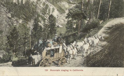Click to see PIC 5-TRA-H 36 of Horses and horse drawn vehicles (PIC 5-TRA-H)