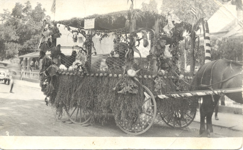 Click to see PIC 5-TRA-H 38 of Horses and horse drawn vehicles (PIC 5-TRA-H)