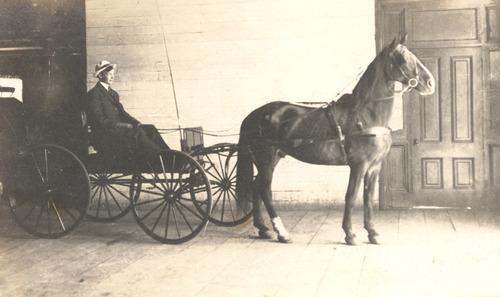 Click to see PIC 5-TRA-H 39 of Horses and horse drawn vehicles (PIC 5-TRA-H)