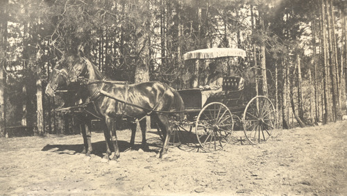 Click to see PIC 5-TRA-H 40 of Horses and horse drawn vehicles (PIC 5-TRA-H)