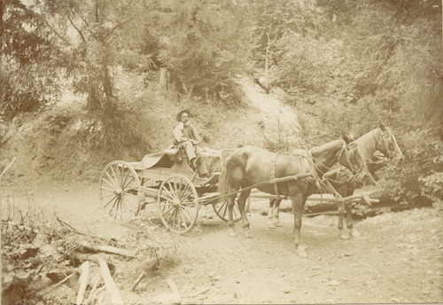 Click to see PIC 5-TRA-H 42 of Horses and horse drawn vehicles (PIC 5-TRA-H)
