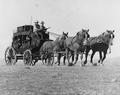 Click to see PIC 5-TRA-H 45 of Horses and horse drawn vehicles (PIC 5-TRA-H)