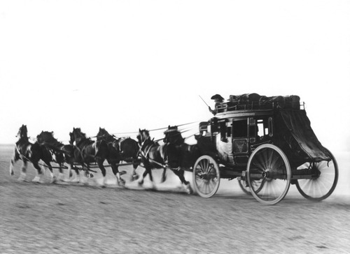 Click to see PIC 5-TRA-H 47 of Horses and horse drawn vehicles (PIC 5-TRA-H)