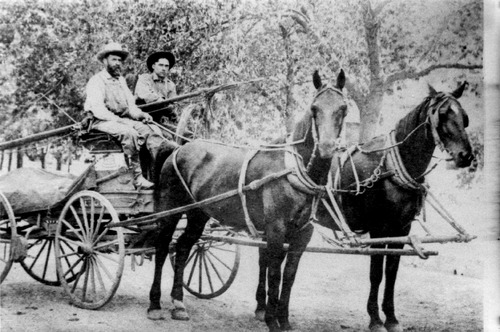 Click to see PIC 5-TRA-H 52 of Horses and horse drawn vehicles (PIC 5-TRA-H)