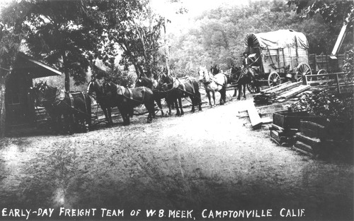 Click to see PIC 5-TRA-H 54 of Horses and horse drawn vehicles (PIC 5-TRA-H)