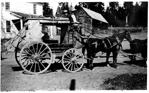 Click to see PIC 5-TRA-H 55 of Horses and horse drawn vehicles (PIC 5-TRA-H)