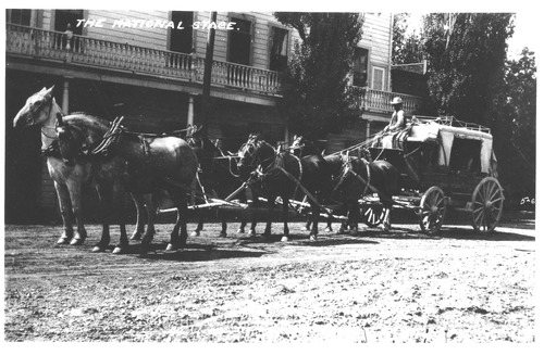 Click to see PIC 5-TRA-H 56 of Horses and horse drawn vehicles (PIC 5-TRA-H)