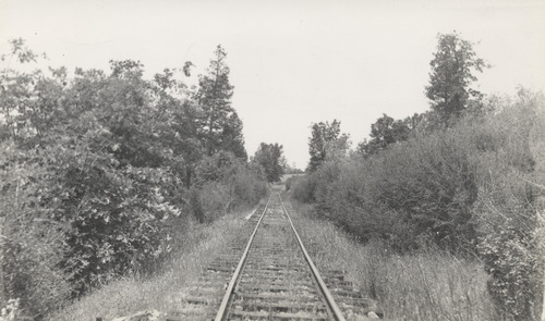Click to see PIC 5-TRA-NAR B,T,T 15 of NCNGRR bridges & trestles, tracks (PIC 5-TRA-NAR B,T,T)