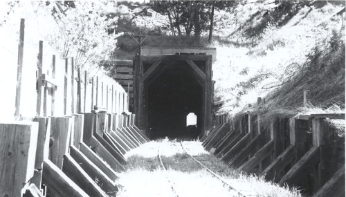 Click to see PIC 5-TRA-NAR B,T,T 21 of NCNGRR bridges & trestles, tracks (PIC 5-TRA-NAR B,T,T)