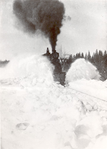 Click to see PIC 5-TRA-NAR ENG.1-9 of NCNGRR steam engines (PIC 5-TRA-NAR ENG.)