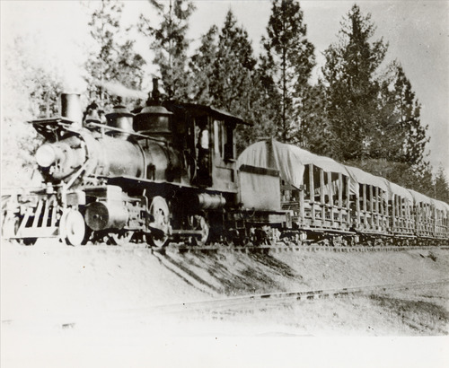 Click to see PIC 5-TRA-NAR ENG.#5-6 of NCNGRR steam engines (PIC 5-TRA-NAR ENG.)