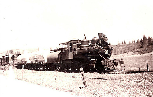 Click to see PIC 5-TRA-NAR ENG.#8 20 of NCNGRR steam engines (PIC 5-TRA-NAR ENG.)