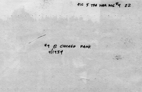 Click to see PIC 5-TRA-NAR ENG#9 22B-BACK of NCNGRR steam engines (PIC 5-TRA-NAR ENG.)