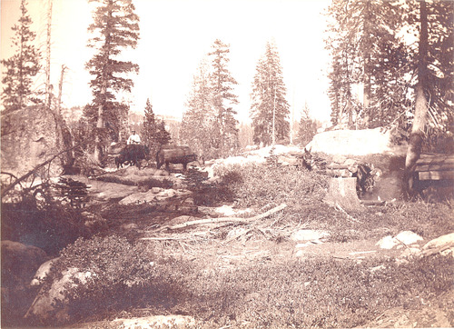 Click to see PIC 5-TRA-NAR MISC 3 of Miscellaneous NCNGRR photos (PIC 5-TRA-NAR MISC)