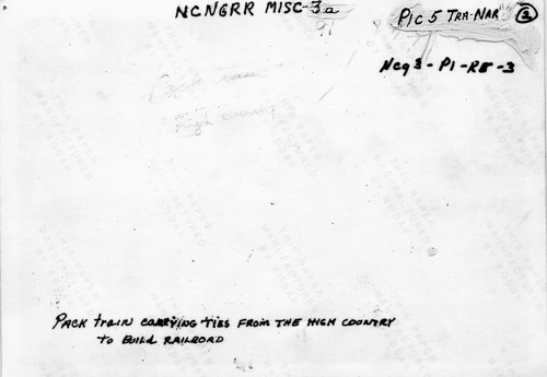Click to see PIC 5-TRA-NAR MISC 3A-BACK of Miscellaneous NCNGRR photos (PIC 5-TRA-NAR MISC)