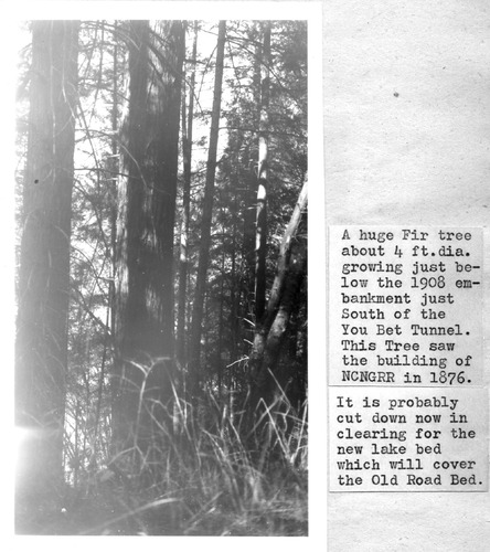 Click to see PIC 5-TRA-NAR MISC. 28 of Miscellaneous NCNGRR photos (PIC 5-TRA-NAR MISC)