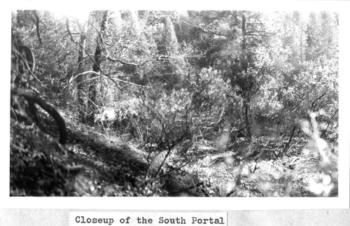 Click to see PIC 5-TRA-NAR MISC. 29 of Miscellaneous NCNGRR photos (PIC 5-TRA-NAR MISC)