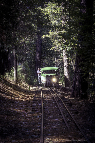 Click to see PIC 5-TRA-NAR RAIL BUS 19 of Rail Bus (PIC 5-TRA-NAR RAIL BUS)