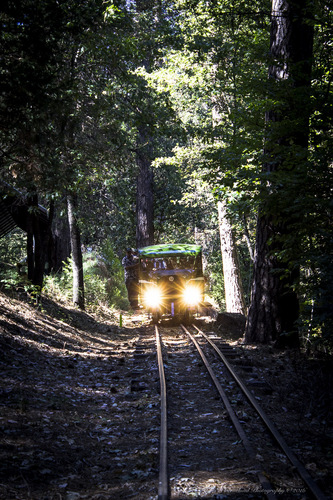 Click to see PIC 5-TRA-NAR RAIL BUS 20 of Rail Bus (PIC 5-TRA-NAR RAIL BUS)