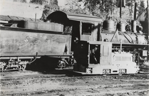 NCNGRR box cars, cabooses, etc. (PIC 5-TRA-NAR ROLLING STOCK)