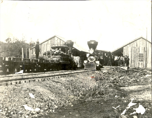 Click to see PIC 5-TRA-RR 2 of Other Nevada County Railroads (PIC 5-TRA-RR)